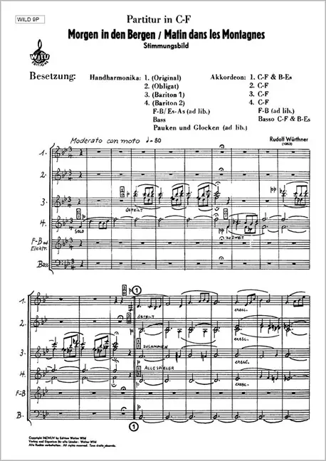 Morgen in den Bergen